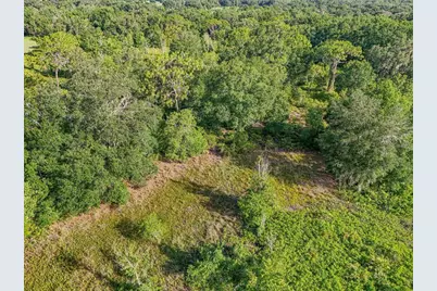 5900 N Dormany Road, Plant City, FL 33565 - Photo 7