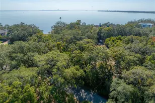 6210 Bayshore Blvd, Tampa, FL 33611 - Photo 27