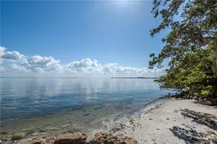 6210 Bayshore Blvd, Tampa, FL 33611 - Photo 9