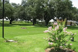 8218 Downpatrick Ct, Tampa, FL 33610 - Photo 29