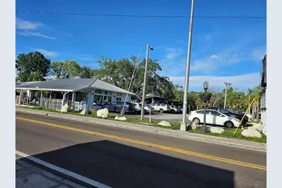 606 N Pinellas Avenue, Tarpon Springs, FL 34689 - Photo 7