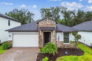 9810 Carabiner Wy, Land O Lakes, FL 34637 - Photo 1