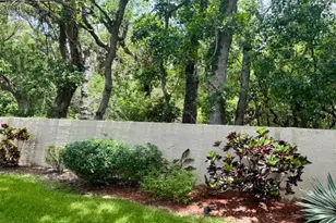 1701 Pinehurst Rd, Dunedin, FL 34698 - Photo 33