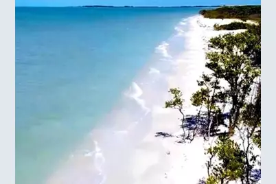 1701 Pinehurst Road #24B, Dunedin, FL 34698 - Photo 73