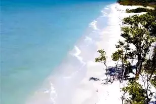 1701 Pinehurst Rd, Dunedin, FL 34698 - Photo 73