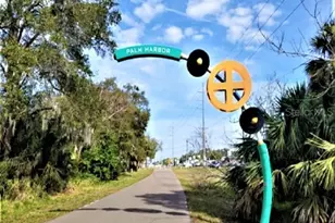 1701 Pinehurst Rd, Dunedin, FL 34698 - Photo 59