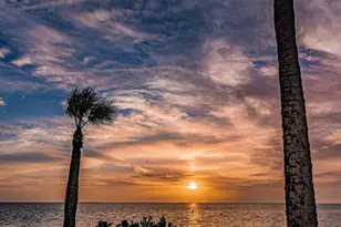 505 Whispering Oak Dr, Tarpon Springs, FL 34689 - Photo 85