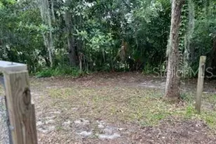 1321 River St, Palatka, FL 32177 - Photo 5