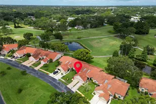 1164 Rustlewood Ct, Palm Harbor, FL 34684 - Photo 3