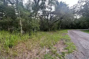 14347 Old Hunter Rd, Brooksville, FL 34601 - Photo 25