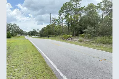 0 Fulton Avenue, Weeki Wachee, FL 34613 - Photo 3