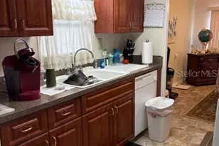 29218 Heckleman St, Brooksville, FL 34602 - Photo 11