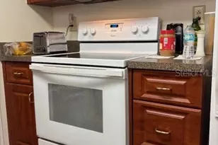 29218 Heckleman St, Brooksville, FL 34602 - Photo 13