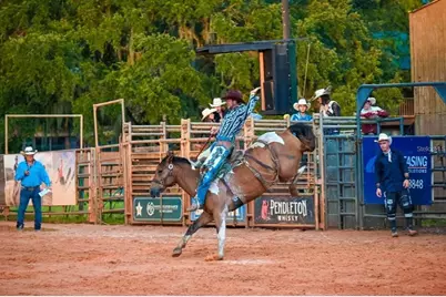 171 Appaloosa Trail, River Ranch, FL 33867 - Photo 13