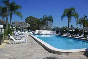 215 Red Maple Dr, Palm Harbor, FL 34684 - Photo 27