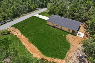 33433 Loop Ct, Webster, FL 33597 - Photo 67