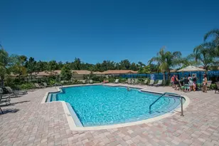 321 Silver Falls Dr, Apollo Beach, FL 33572 - Photo 33
