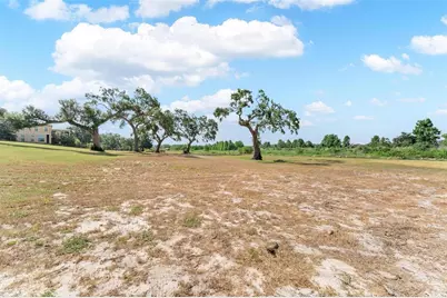 Lot 29 Stonelake Ranch Blvd, Thonotosassa, FL 33592 - Photo 15