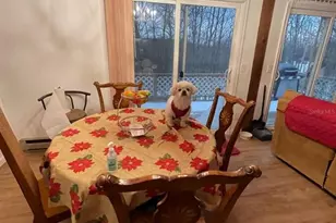 123 Rocky Rd, Lackawaxen, PA 18435 - Photo 13