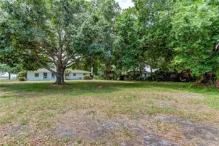 303 Shore Dr W, Oldsmar, FL 34677 - Photo 65