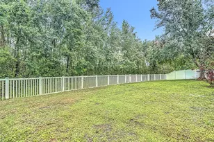 9314 Black Thorn Loop, Land O Lakes, FL 34638 - Photo 35