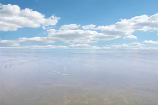 5521 Windward Way, New Port Richey, FL 34652 - Photo 11