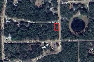 McCall St, Interlachen, FL 32148 - Photo 1
