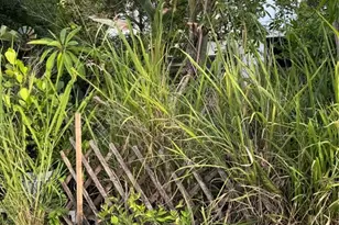 600 38th Ave N, Saint Petersburg, FL 33704 - Photo 7