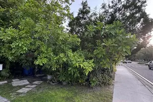 600 38th Ave N, Saint Petersburg, FL 33704 - Photo 3