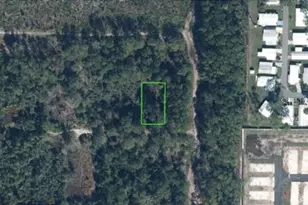 207 Dunlin Ave, Sebring, FL 33870 - Photo 1