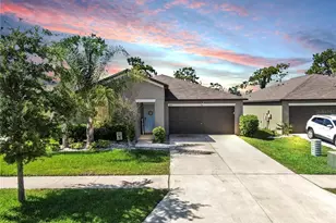 12817 Wildflower Meadow Dr, Riverview, FL 33579 - Photo 1