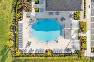 144 Bright Ibis Ave, Apollo Beach, FL 33572 - Photo 43