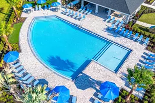 765 Steel Dr, Apollo Beach, FL 33572 - Photo 39