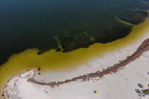 823 Riverside Dr, Tarpon Springs, FL 34689 - Photo 47