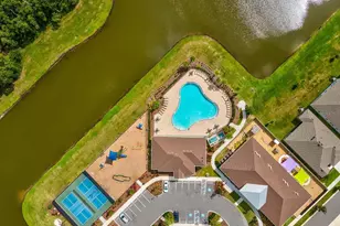 12466 Rosepine Pl, Riverview, FL 33579 - Photo 61