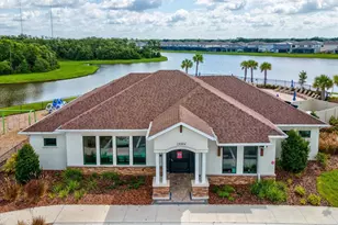 12466 Rosepine Pl, Riverview, FL 33579 - Photo 53