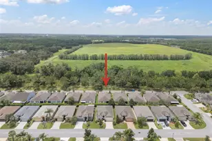 29405 Cochiti Lake Drive, San Antonio, FL 33576 - Photo 3