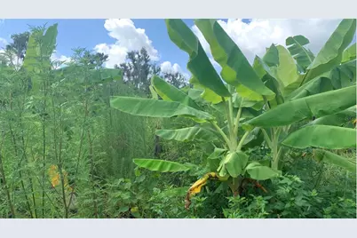 0 Sink Hole Road, Bartow, FL 33830 - Photo 21