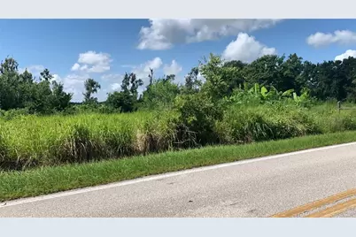 0 Sink Hole Road, Bartow, FL 33830 - Photo 3