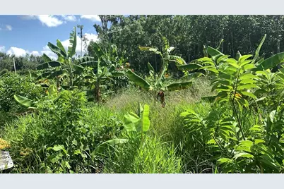 0 Sink Hole Road, Bartow, FL 33830 - Photo 11