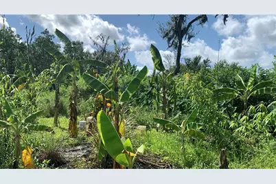 0 Sink Hole Road, Bartow, FL 33830 - Photo 13