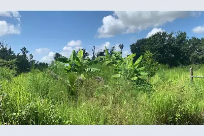 0 Sink Hole Road, Bartow, FL 33830 - Photo 23
