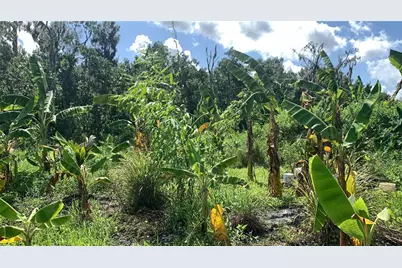 0 Sink Hole Road, Bartow, FL 33830 - Photo 17