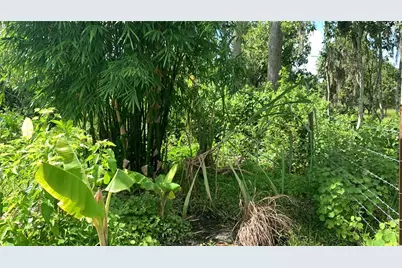 0 Sink Hole Road, Bartow, FL 33830 - Photo 15