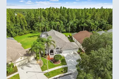 19331 Wind Dancer Street, Lutz, FL 33558 - Photo 83