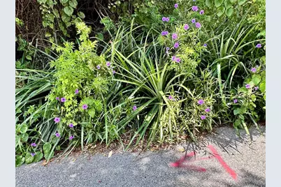 1606 11th St, Orlando, FL 32824 - Photo 29