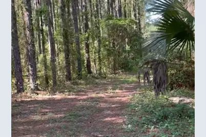 7431 SE 170th Avenue Road, Ocklawaha, FL 32179 - Photo 37