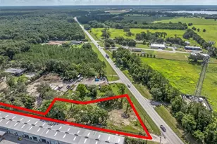 12550 N Us301 Hwy, Thonotosassa, FL 33592 - Photo 5