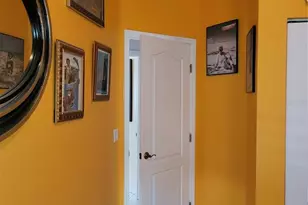 775 Wildflower Dr, Palm Harbor, FL 34683 - Photo 49