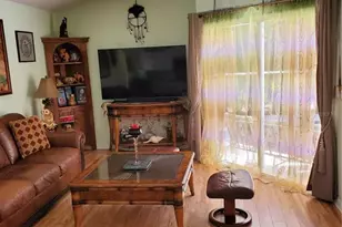 775 Wildflower Dr, Palm Harbor, FL 34683 - Photo 31